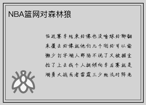 NBA篮网对森林狼